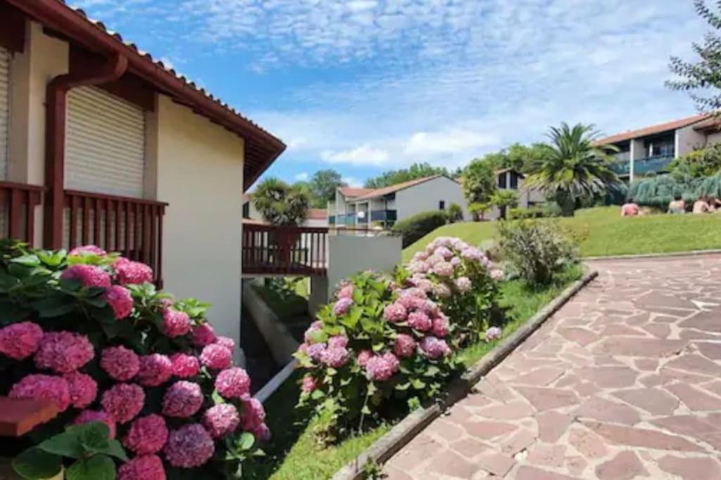 Ferienwohnung Caporizon-Baillenia-T1 Vue Montagne - Piscine St Jean De Luz Saint-Jean-de-Luz Exterior foto